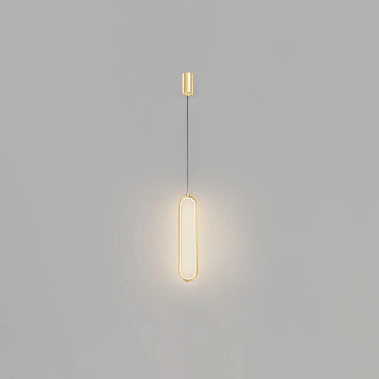 Long Oval LED Pendant Lamp