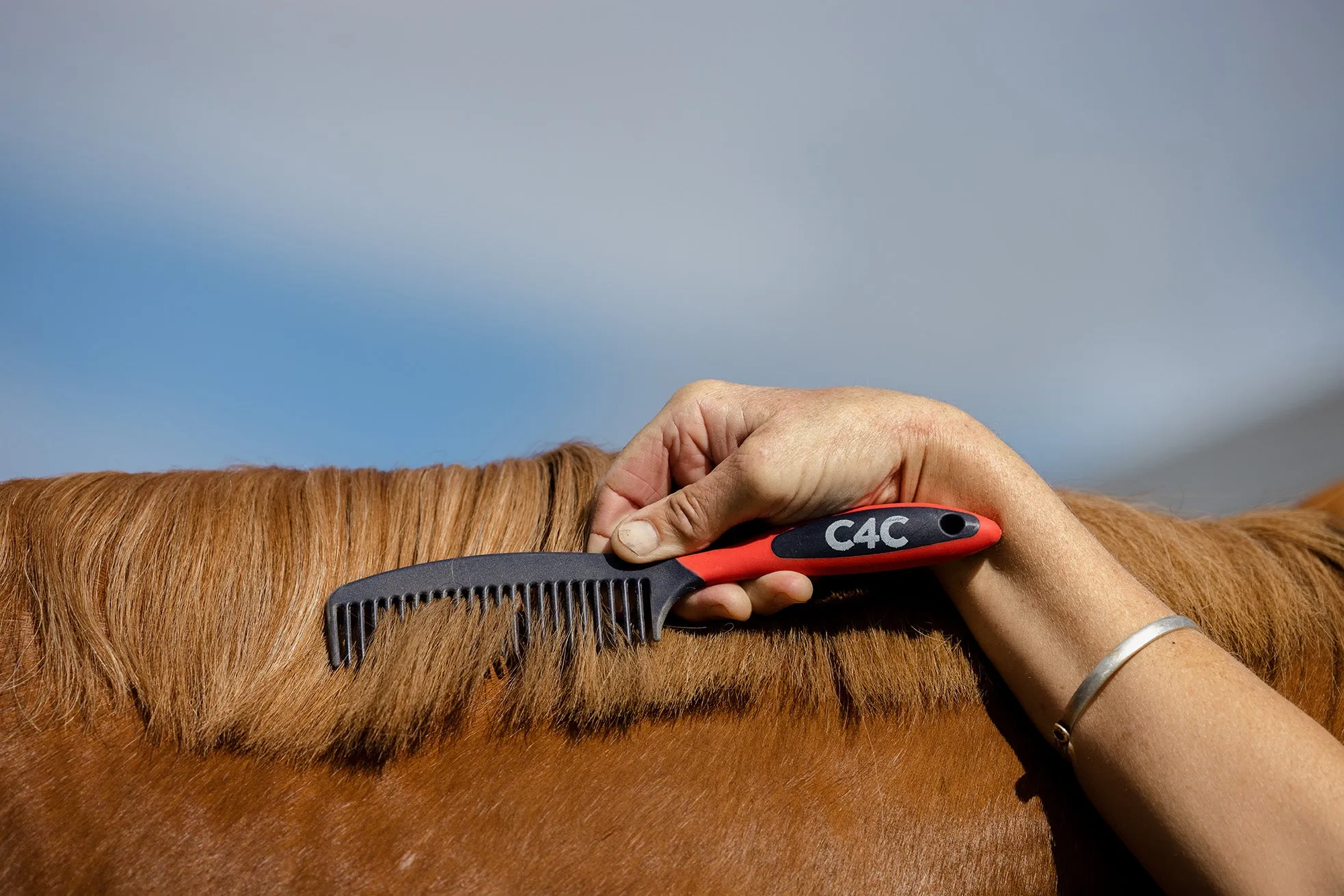 Mane & Tail Comb