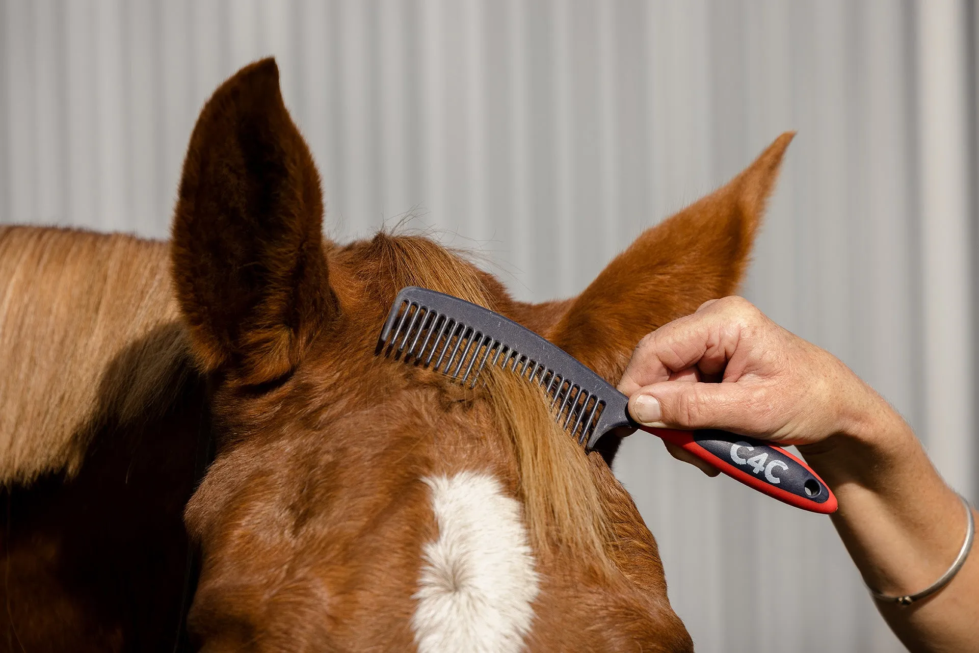 Mane & Tail Comb