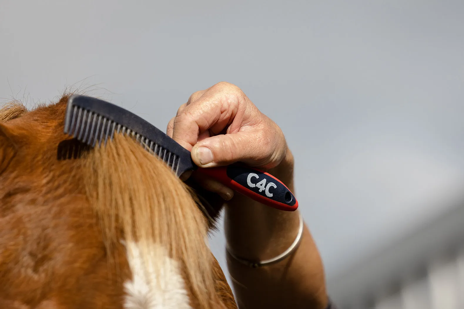 Mane & Tail Comb