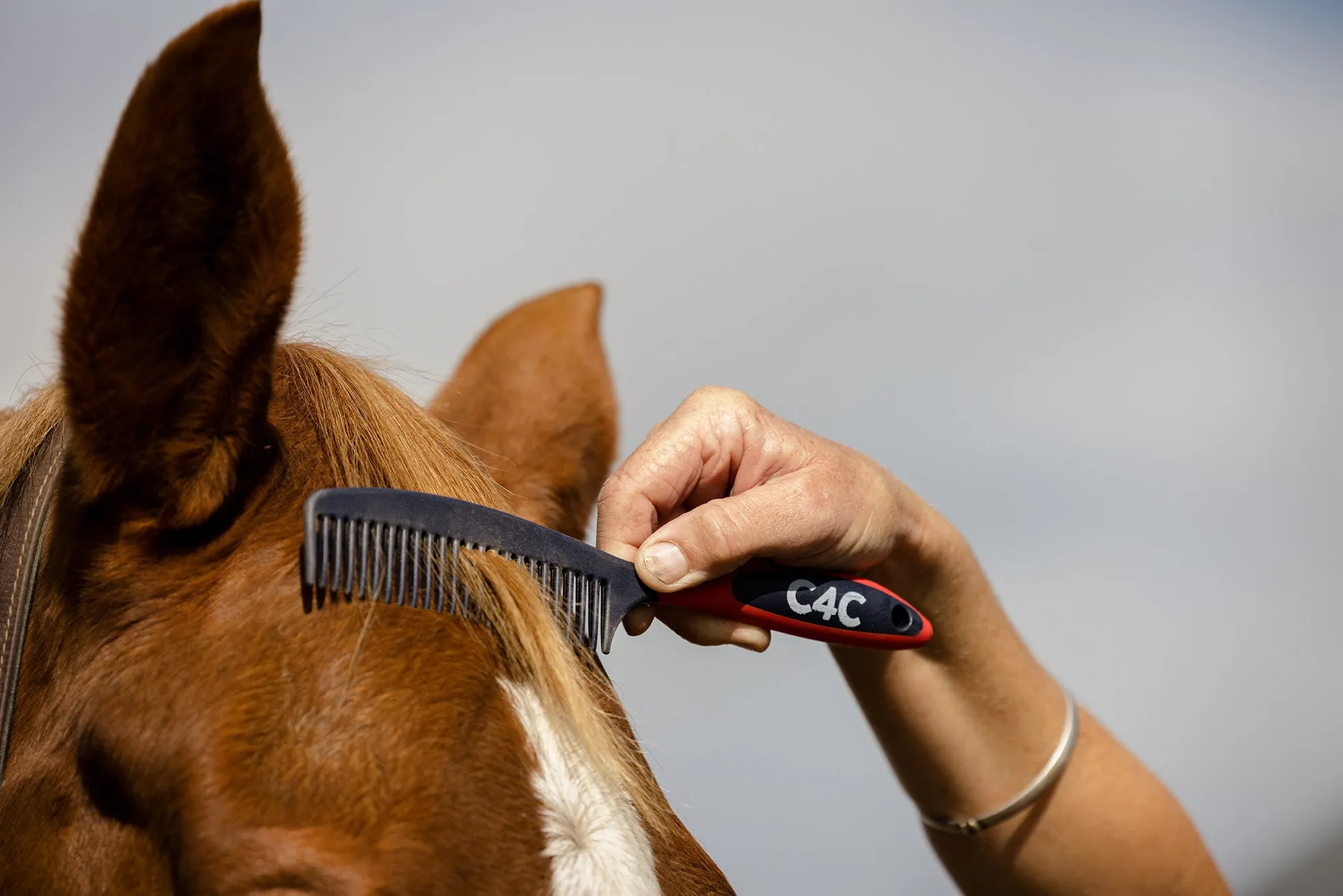 Mane & Tail Comb
