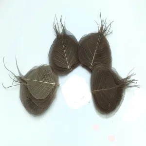 Peepil leafs