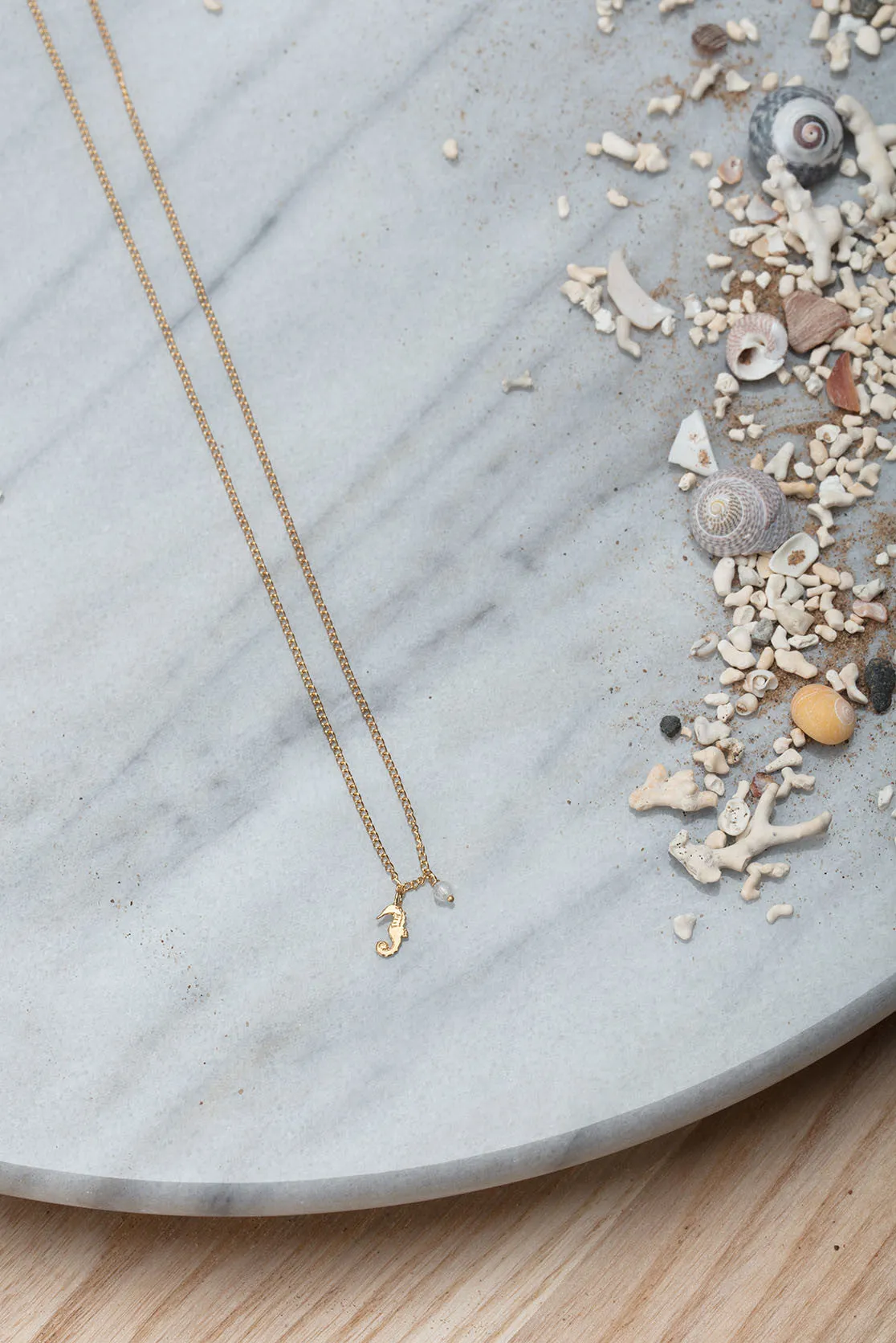 Tiny Silver Seahorse Pendant