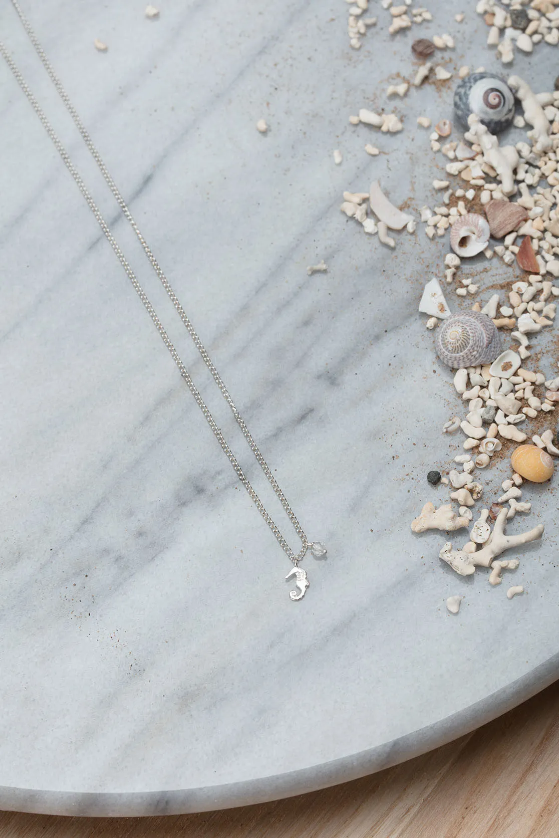 Tiny Silver Seahorse Pendant